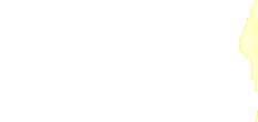 business software