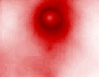 buchhalter software