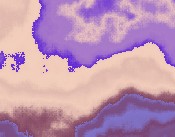 buchhalter software