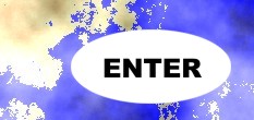 management portfolio software