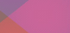 poster preis management portfolio software